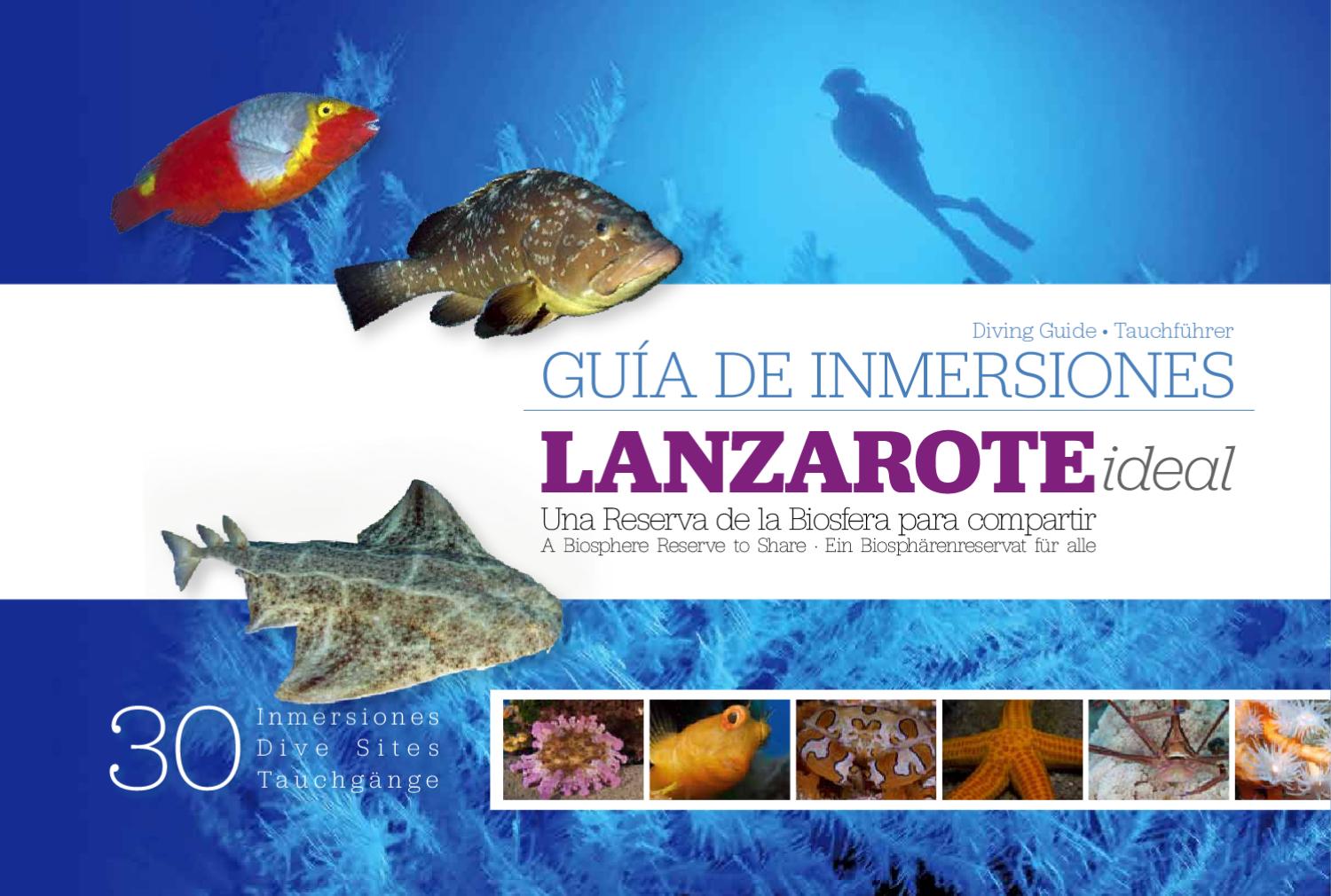 Dive Guide Lanzarote