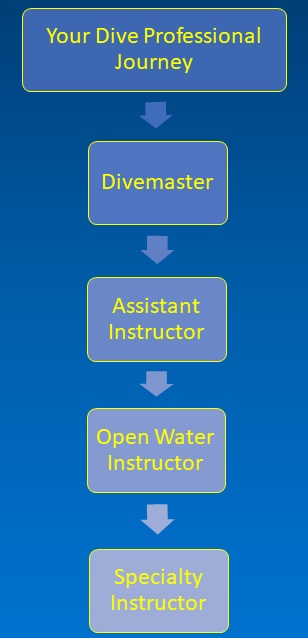 Pro-Diver Flowchart